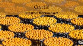  Presentation with dry - Slide set featuring dry-persimmon-fruit-production-under background and a gold colored foreground