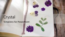  Presentation with plants - Presentation design featuring dry plants on the notebook background and a light gray colored foreground