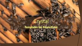  Presentation with dry - Audience pleasing presentation consisting of dry-puer-tea-leaf backdrop and a tawny brown colored foreground