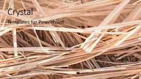  Presentation with weave - Amazing slides having dry reeds dry grass backdrop and a coral colored foreground