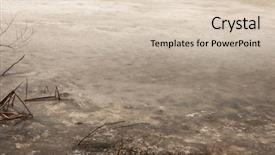  Presentation with water pollution polluted lake - PPT layouts with dry reeds in the lake background and a lemonade colored foreground