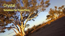  Presentation with outback australia - Slides consisting of dry river bed in outback background and a tawny brown colored foreground