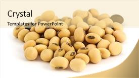  Presentation with soy - PPT theme featuring dry soy isolated on white background and a blonde colored foreground