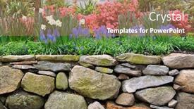  Presentation with dry - Audience pleasing slide deck consisting of dry-stone-wall-and-colorful backdrop and a coral colored foreground