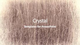  Presentation with tall - Presentation design enhanced with dry tall grass - sepia background and a coral colored foreground