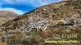  Presentation with antarctica tourism - Audience pleasing PPT theme consisting of dry-tree-branches-hurricane-wind backdrop and a tawny brown colored foreground