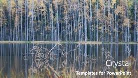  Presentation with dry forest - Slide set with dry-tree-branches-in-autumn background and a  colored foreground