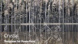 Presentation with dry forest - Theme featuring dry-tree-branches-in-autumn background and a  colored foreground