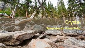  Presentation with dry forest - Beautiful PPT theme featuring dry tree in pine forest backdrop and a violet colored foreground