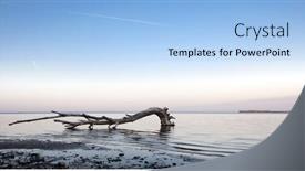  Presentation with tree river - Amazing theme having dry tree in the river backdrop and a light blue colored foreground