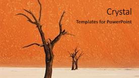  Presentation with dry - PPT theme featuring dry trees - dead valley in namibia background and a gold colored foreground