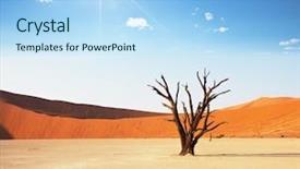  Presentation with dry - Cool new presentation theme with dry trees - dead valley in namibia backdrop and a light blue colored foreground