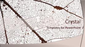  Presentation with old brown paper texture - Audience pleasing slide deck consisting of dry trees - old brown dead leaf texture backdrop and a  colored foreground