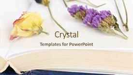  Presentation with plants to - Colorful PPT theme enhanced with children toy orange ice cream scoop in waffle isolate white background backdrop and a cream colored foreground