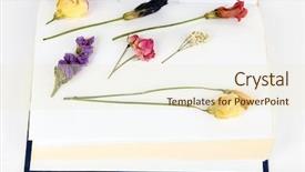  Presentation with plants - Beautiful PPT layouts featuring dry up plants on book backdrop and a  colored foreground