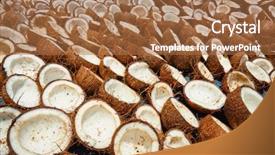  Presentation with kerala - Amazing slide set having drying coconuts kerala india backdrop and a coral colored foreground
