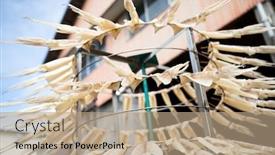  Presentation with stand - Slides with drying squid hanging on the stand background and a coral colored foreground