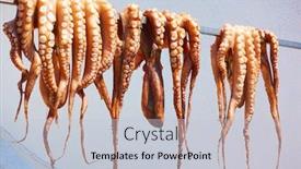  Presentation with octopus - Presentation enhanced with drying the octopus in the sun at a greek tavern greece background and a lemonade colored foreground