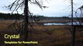  Presentation with forest fire - Cool new slides with drying timber - dry dead trees after forest backdrop and a wine colored foreground