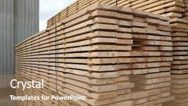  Presentation with pandanus or screw pine plant - Slides enhanced with drying timber - kiln-dried pine planks background and a coral colored foreground