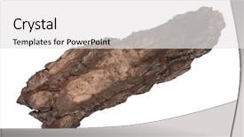  Presentation with tree - Amazing slides having drying timber - piece of old tree bark backdrop and a white colored foreground