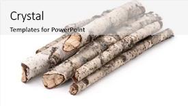  Presentation with white birch tree - PPT theme with drying timber - pile of dry birch twigs background and a white colored foreground