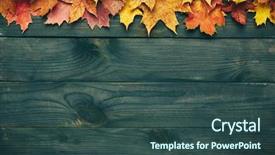  Presentation with autumn leaves - PPT layouts having drying timber - textured vintage rustic wooden background background and a ocean colored foreground