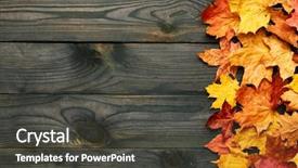  Presentation with rustic - Cool new theme with drying timber - textured vintage rustic wooden background backdrop and a dark gray colored foreground