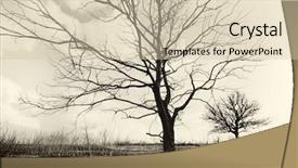  Presentation with nature art - Cool new PPT theme with drying wood - lonely dead tree art nature backdrop and a soft green colored foreground