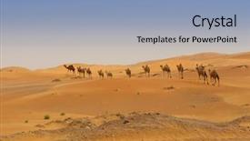  Presentation with dubai - Beautiful PPT theme featuring dubai camels in the desert backdrop and a light blue colored foreground