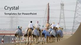  Presentation with uae - Colorful PPT layouts enhanced with dubai uae camels and jockeys backdrop and a light gray colored foreground