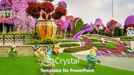  Presentation with miracle - 