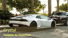  Presentation with dubai palm - 