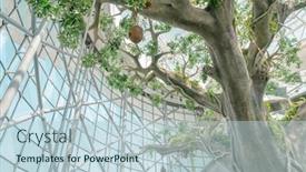  Presentation with plants animals - 