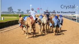  Presentation with emirates - 