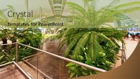  Presentation with maximum - 