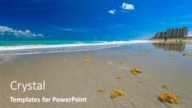  Presentation with florida beach - Presentation having dubois-park-jupiter-beach background and a gray colored foreground