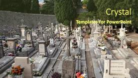  Presentation with dalmatia - 