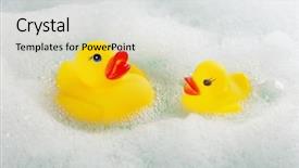  Presentation with rubber duck - Beautiful theme featuring rubber ducks in foam close backdrop and a light gray colored foreground