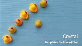  Presentation with rubber duck - Colorful PPT layouts enhanced with duck dare to be different backdrop and a teal colored foreground