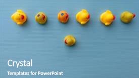  Presentation with rubber duck - Slides having duck dare to be different background and a teal colored foreground