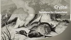  Presentation with alive - Theme featuring duck hunting - old illustration of duke background and a gray colored foreground