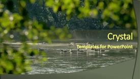  Presentation with hazrat ali - Slides enhanced with ducks group on the ali background and a tawny brown colored foreground