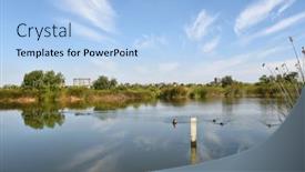  Presentation with marsh - Cool new presentation theme with ducks-on-pond backdrop and a light blue colored foreground