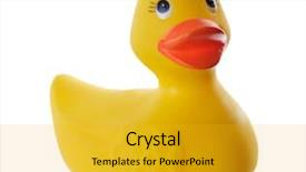  Presentation with rubber - Colorful PPT theme enhanced with duckyu - rubber duckie backdrop and a gold colored foreground