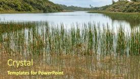  Presentation with marine conservation - PPT layouts having dune-lake-at-tauparikaka-marine background and a tawny brown colored foreground