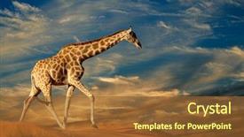  Presentation with south africa - Slides with dune with clouds south africa background and a tawny brown colored foreground