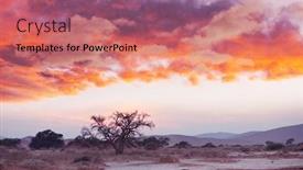  Presentation with destination - Audience pleasing presentation theme consisting of dunes-and-dead-acacia-trees backdrop and a coral colored foreground