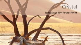  Presentation with trees - PPT theme enhanced with dunes-and-dead-acacia-trees background and a coral colored foreground