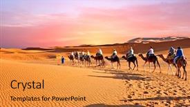  Presentation with camel caravan - PPT layouts having dunes in the sahara desert background and a gold colored foreground